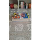Geronimo Stilton Boldogulj angolul