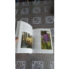 A Feng Shui kézikönyve