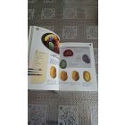 Denise Scicluna A kavicsfestés titkai - Keltsd életre a köveket!