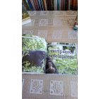 (Reader's Digest) Szórakoztató állatvilág Csimpánzok