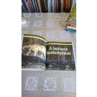  (Reader's Digest) Szórakoztató állatvilág Farkasok