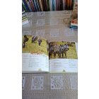  (Reader's Digest) Szórakoztató állatvilág Zebrák