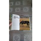 Susan McBane A lovak testbeszéde - 100 jel és jelentésük, hogy értsük őket
