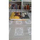 Ulrike Schöber 1000 lófajta - A világ lófajtái - Lótartás - Lovaglás