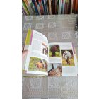 Ulrike Schöber 1000 lófajta - A világ lófajtái - Lótartás - Lovaglás