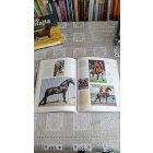 Judith Draper Lovak - Képes enciklopédia - Fajták, tenyésztés, gondozás