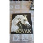 Gabrielle Boiselle Lovak