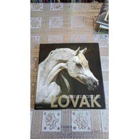 Gabrielle Boiselle Lovak