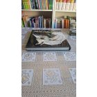 Gabrielle Boiselle Lovak