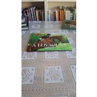 Antalffy Gabriella-Bagoly Ilona A lovaglás ábécéje (A lovak világa)