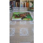 Antalffy Gabriella-Bagoly Ilona A lovaglás ábécéje (A lovak világa)