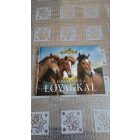 Bagoly Ilona-Horváthné Czentye Ibolya Ismerkedés a lovakkal (A lovak világa)