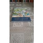 Vihart Anna Sipos (S) Gyula Sárkányszelídítők