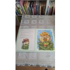 Christl Vogl A manók mesebeli világa - Négy, 96 darabos puzzle