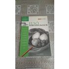 Carol Rolesinki Első ceruzavonások - Így könnyű rajzolni!