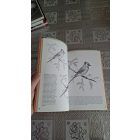 Élethű textúrák - Így könnyű rajzolni!