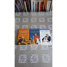   Cesar Millan Rövid útmutató a boldog kutyához - A csodálatos kutyadoki - A kutya mint családtag