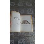 Micimackó - Bölcsességek a Százholdas Pagonyból