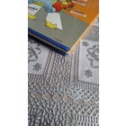 Walt Disney Gyermekek képes angol-magyar szótára