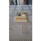 Gimpel Tamás Hogyan szelídítettem villamost - Félperces novellák