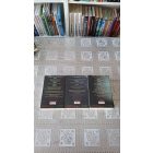 Michelle Hodkin Mara Dyer sorozat 1-3. (Mara Dyer eszmélése, Mara Dyer változása,Mara Dyer végzete)