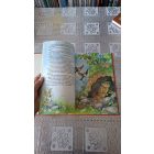 H. C. Andersen - Grimm - GRAFIKUS Füzesi Zsuzsa Kedvenc meséim VÁLOGATÁS GRIMM ÉS ANDERSEN LEGSZEBB MESÉIBŐL