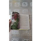 Tátrai Zsuzsa Az orchideák gondozása