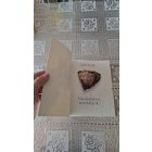 Judy Hall Varázslatos kristályok - 300 gyógyító kristály